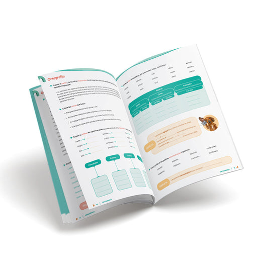 Cuaderno de lengua - Puente - Segundo Secundaria
