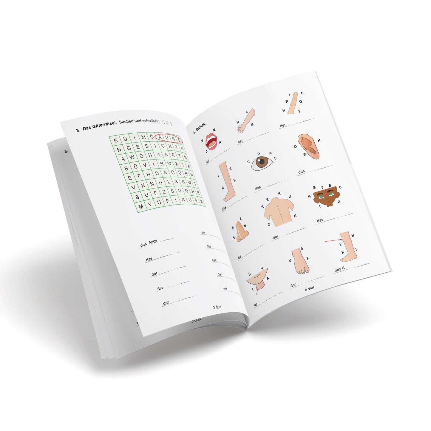 Cuaderno de alemán - Bitte! 5 - Die körper