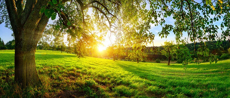 Los niños necesitan estar en contacto con la naturaleza