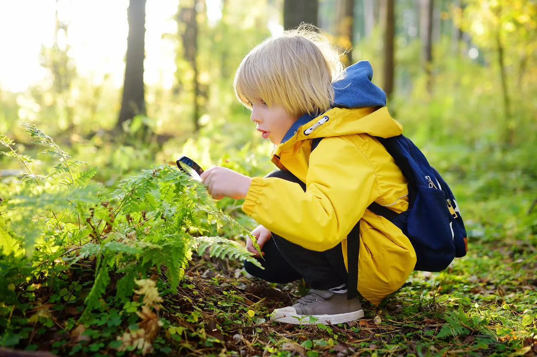 Creatividad en infantil: Método Reggio Emilia