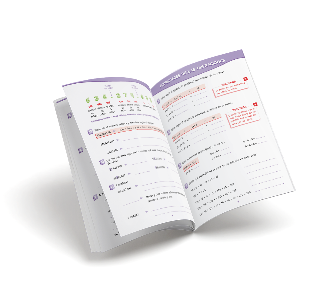 Cuaderno de matemáticas - Puente - Quinto Primaria