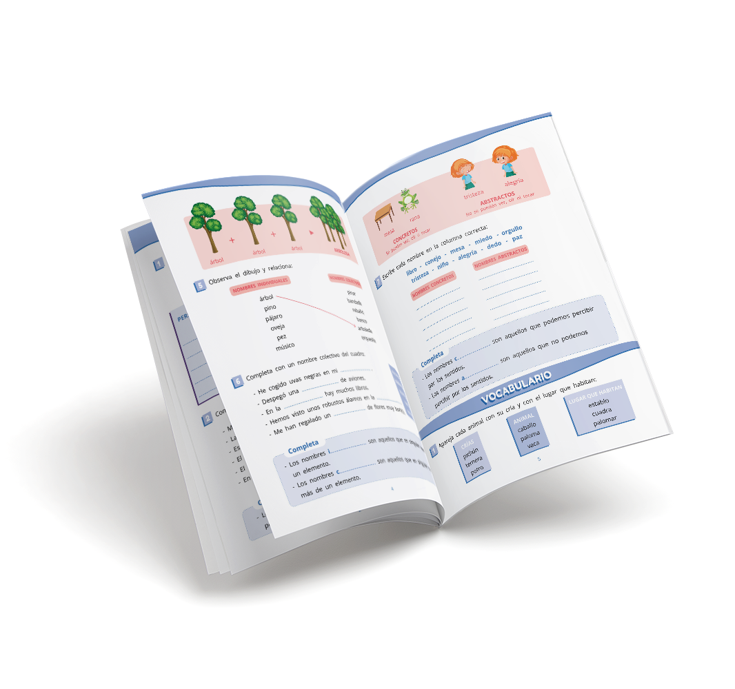 Cuaderno de lengua - Puente - Cuarto Primaria