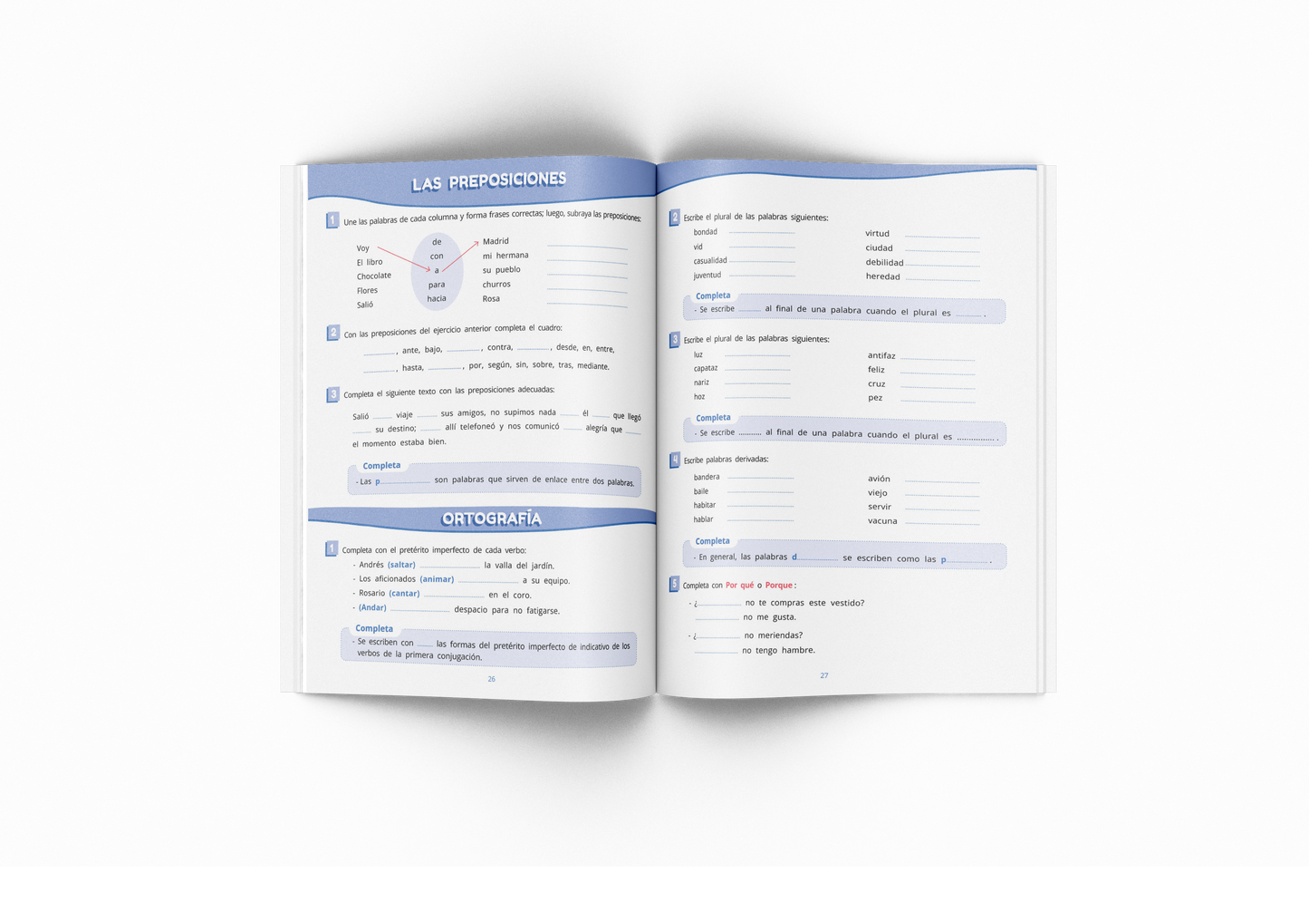 Cuaderno de lengua - Puente - Sexto Primaria
