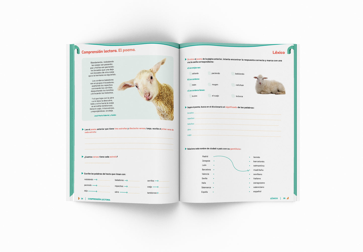 Cuaderno de lengua - Puente - Primero Secundaria