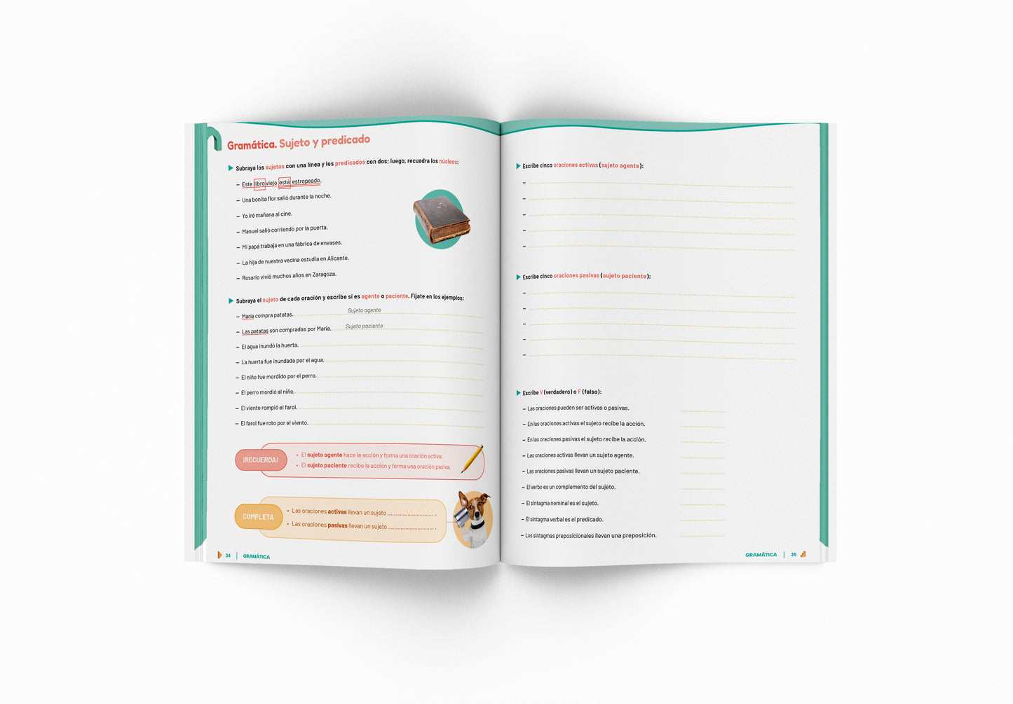 Cuaderno de lengua - Puente - Segundo Secundaria